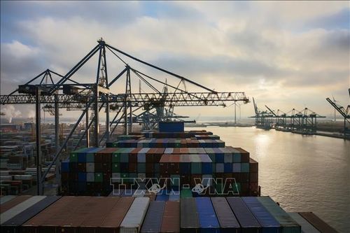 Cảng Antwerp của Bỉ tạm ngừng hoạt động một phần do sự cố tràn dầu
