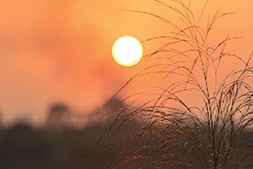 Khoảng trời chiều trong bệnh viện