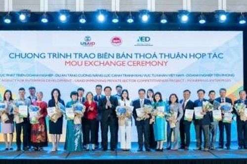 Chương trình 'Doanh nghiệp Việt Nam tiên phong' - Bệ phóng giúp Cát Vạn Lợi vươn tầm quốc tế