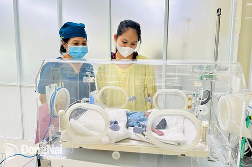 Hiệu quả hợp tác liên viện