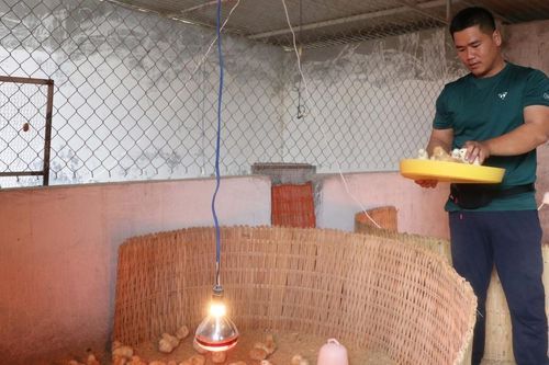 Anh Lương Hoài Nam: Tỷ phú 9X ở Kbang