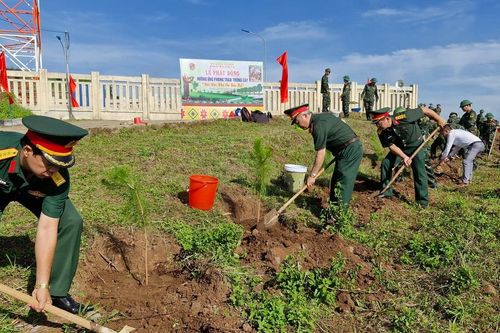 Binh đoàn 15 trồng hơn 4 ngàn cây thông 3 lá