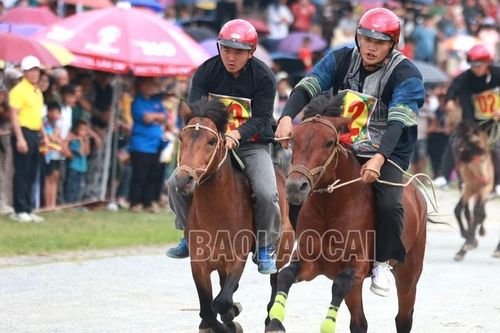 32 nài ngựa cùng tranh ngôi vô địch vào ngày mai (8/6)
