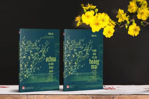 'Trước nhà có cây hoàng mai': Tìm hiểu lối sống thanh nhã của người dân xứ Huế