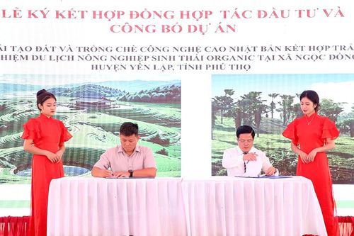 Ký kết hợp đồng hợp tác đầu tư dự án 'Cải tạo đất và trồng chè công nghệ cao Nhật Bản'