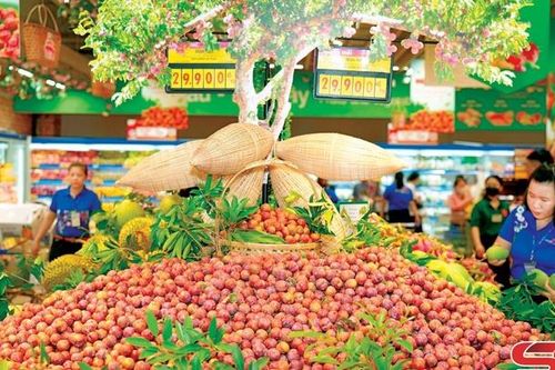 FTA - lối mở cho xuất khẩu nông sản Sơn La
