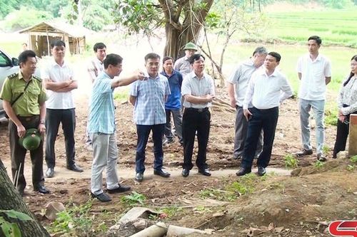 Kiểm tra tiến độ cải tạo, nâng cấp tuyến đường nối từ quốc lộ 37 với quốc lộ 279D.