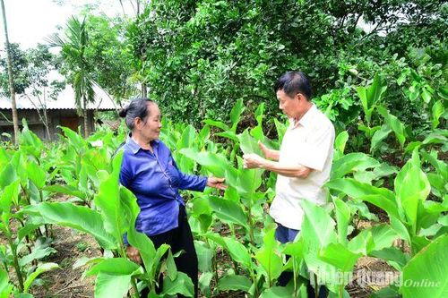Điểm tựa ở Đồng Mán