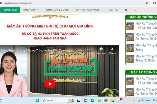 Xử phạt hộ kinh doanh không thông báo website thương mại với cơ quan quản lý Nhà nước