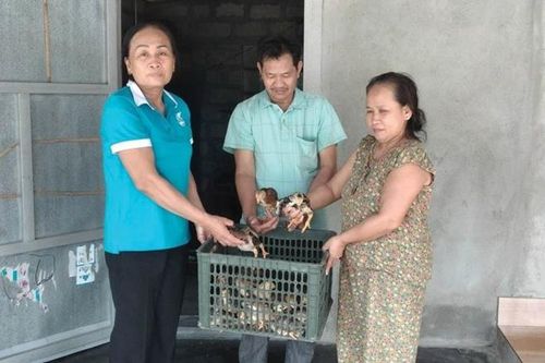 Giúp phụ nữ thoát nghèo từ nguồn vốn vay