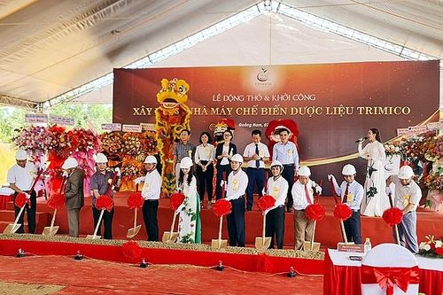 Quảng Nam: Xây dựng nhà máy chế biến dược liệu và sâm Ngọc Linh tại huyện Phú Ninh