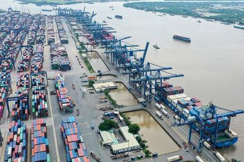 Một số doanh nghiệp xuất khẩu hồ tiêu bị 'trộm' một phần hàng hóa
