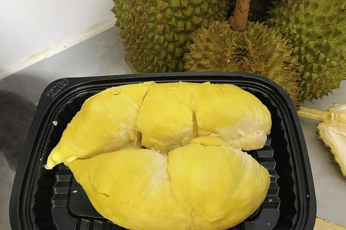 Việt - Trung dự kiến có Nghị định thư về sầu riêng đông lạnh, chanh leo năm 2024