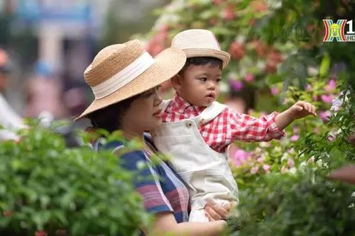 Cuối tuần đi chợ cây cảnh