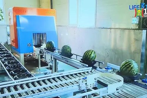 Hoàn tất thủ tục xuất khẩu nông sản sang Trung Quốc