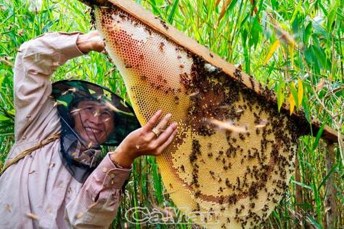 Thực hành nghề di sản
