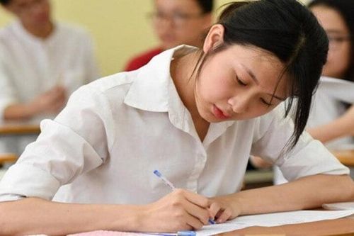 Muốn làm giám đốc nên chọn học ngành nào?