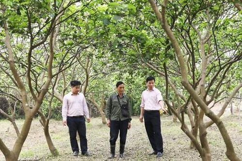 Vẫn 'khát' vốn vay giải quyết việc làm