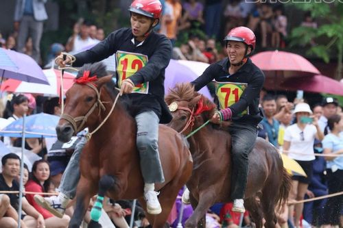 Hấp dẫn Giải đua ngựa truyền thống trên cao nguyên Bắc Hà