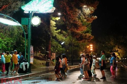 Đà Lạt mở phố đi bộ ven hồ Xuân Hương