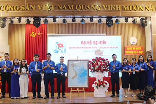 Tuổi trẻ Trường Đại học Y - Dược xung kích sáng tạo hội nhập