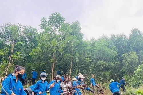 Thanh niên Hà Tĩnh ra quân tiếp sức hỗ trợ dự án đường dây 500kV mạch 3