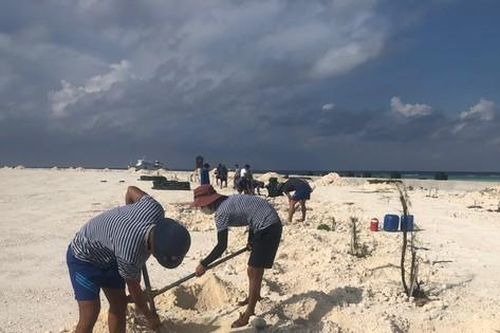 Trường Sa! Tiếng gọi thẳm sâu nơi lòng biển - Bài 6: Sức sống mãnh liệt