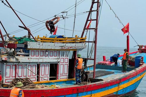Nghệ An xử phạt 22 chủ tàu cá mất tín hiệu kết nối giám sát hành trình