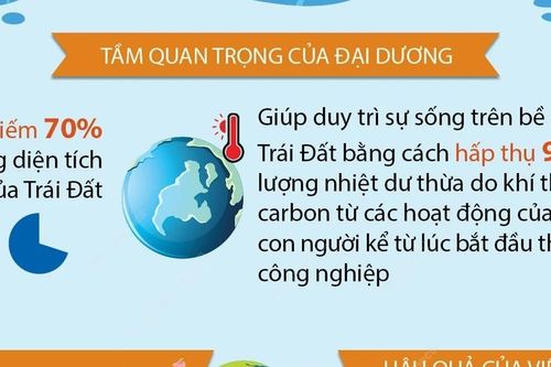 Ngày Đại dương thế giới 8/6: 'Hiểu biết sâu sắc hơn về đại dương'