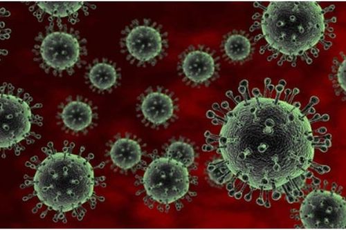 WHO cảnh báo ca nhiễm virus H5N2 đầu tiên ở người tử vong do nhiều yếu tố