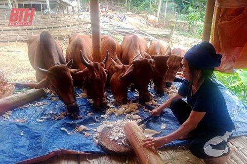 Quan Sơn phát huy hiệu quả vốn tín dụng chính sách