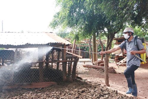 Chư Pưh chủ động phòng-chống dịch bệnh trên đàn vật nuôi