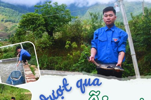 Vượt qua nỗi sợ để thành công với mô hình nuôi cá nước lạnh