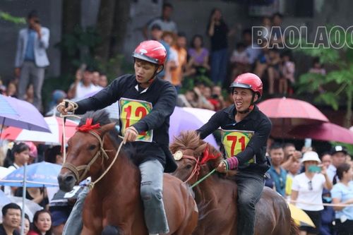 Nài ngựa huyện Bát Xát lần đầu tiên vô địch giải đua