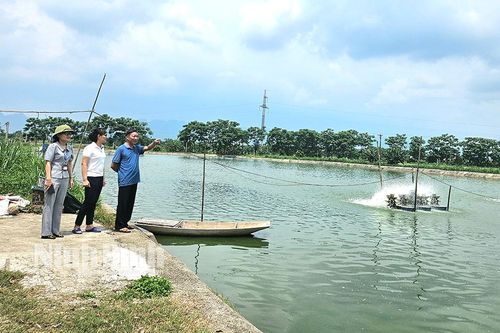 Khởi sắc Lạng Phong