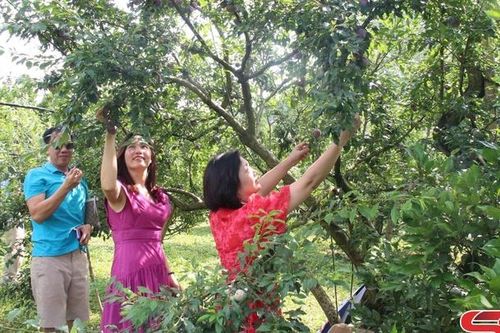 Sơn La kích cầu du lịch nội địa