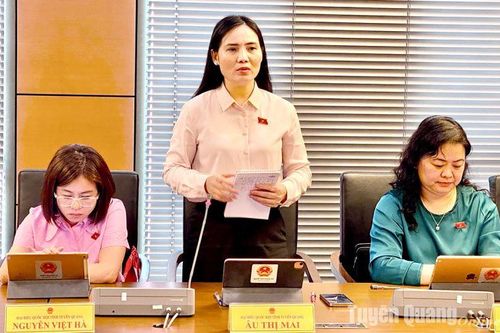 Đoàn ĐBQH tỉnh thảo luận vào chủ trương đầu tư Chương trình mục tiêu quốc gia về phát triển văn hóa