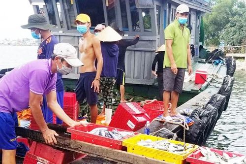 Hiện đại hóa đánh bắt xa bờ