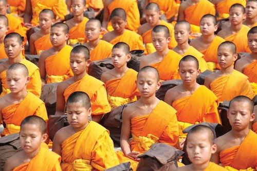 Cưỡi voi bắt châu chấu