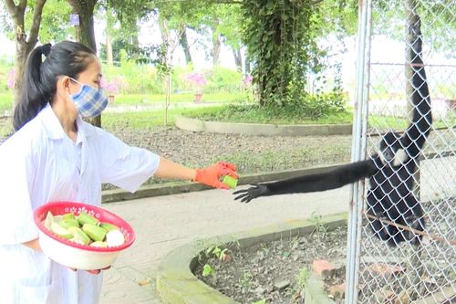 Nơi những động vật quý hiếm được hồi sinh