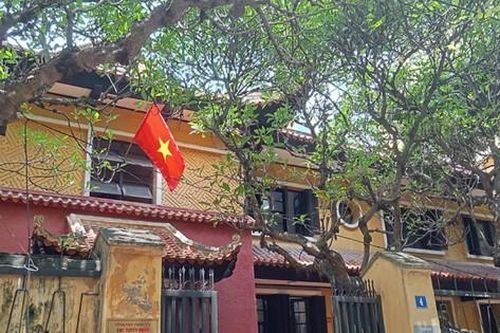Ngạt ngào hoa đại