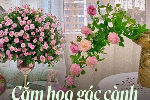 Chị em học ngay cách cắm gác cành tròn siêu đẹp cho hoa hồng ai nhìn cũng mê