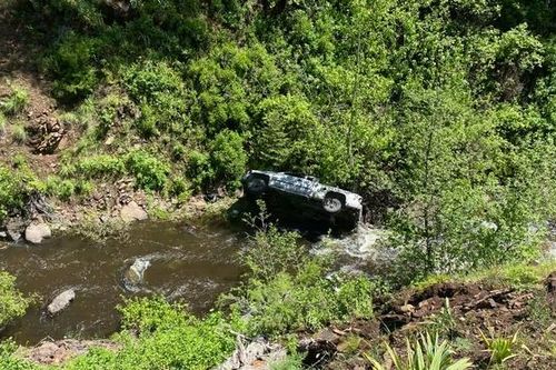 Chú chó chạy suốt quãng đường dài 6,4km tìm người cứu chủ nhân gặp nạn