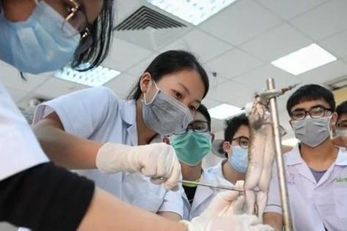 Ngành nào của trường Đại học Y Hà Nội bắt đầu tuyển sinh khối C,D từ năm nay?