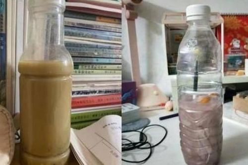 Trung Quốc: Trào lưu quái dị 'Nuôi nước thối'