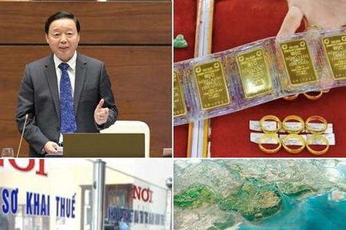 Áp lực từ cải cách tiền lương; trách nhiệm kiểm toán vụ Ngân hàng SCB