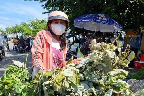 Người Quảng Nam đi chợ mua 'lá mùng 5' dịp Tết Đoan Ngọ