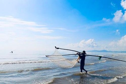 Ngư dân xứ Nghệ rộn ràng mùa thu hoạch ruốc biển