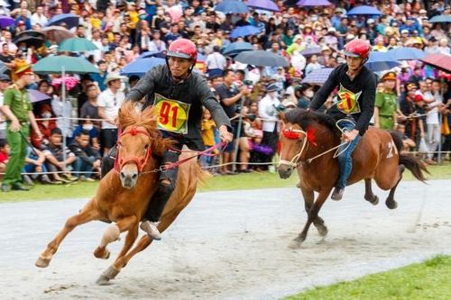 Hấp dẫn giải đua ngựa thồ nơi 'Cao nguyên trắng'