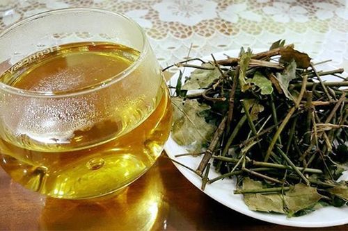 Nước vối và trà xanh loại nào tốt hơn?